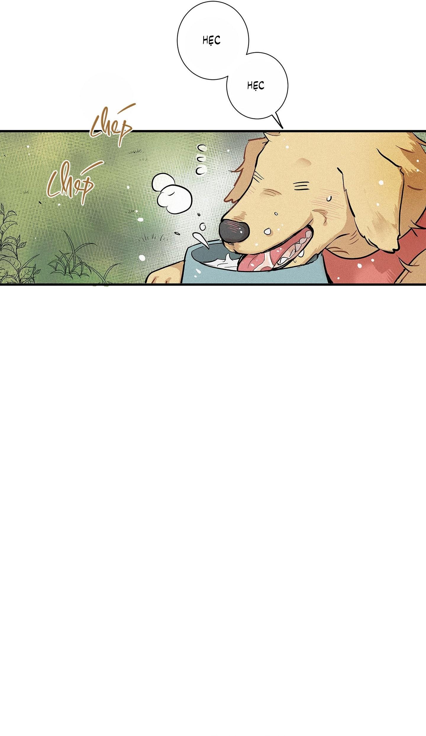 đọc truyện (cbunu) Tình Yêu Và Danh Vọng Chương 75 ảnh 39 tại Thiên Thai Truyện