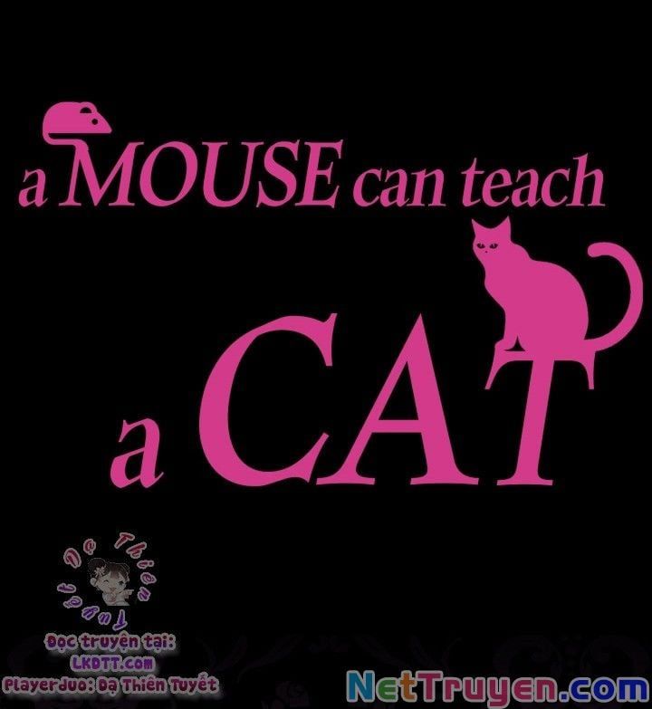 đọc truyện Cha, Con Không Muốn Kết Hôn! Chương 38 ảnh 4 tại Thiên Thai Truyện