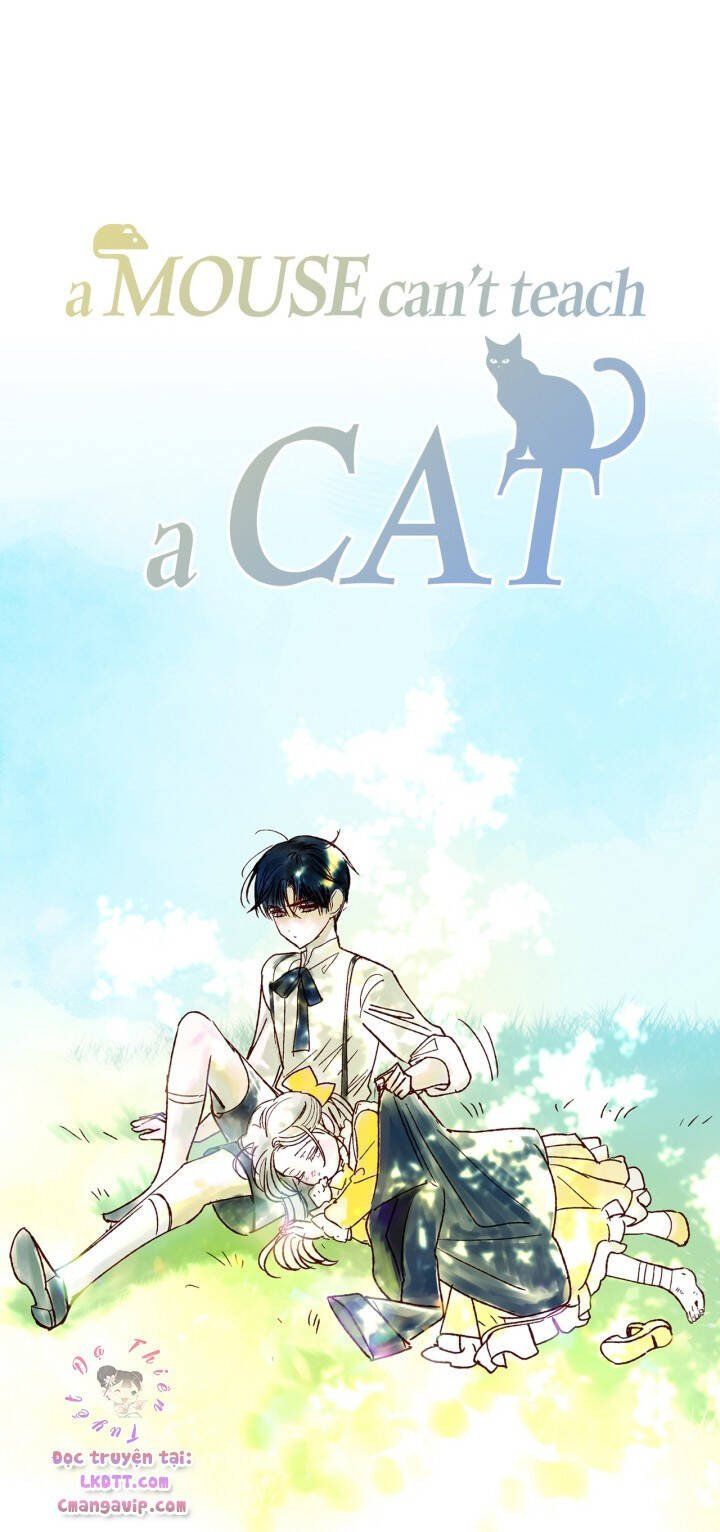 đọc truyện Cha, Con Không Muốn Kết Hôn! Chương 39 ảnh 111 tại Thiên Thai Truyện