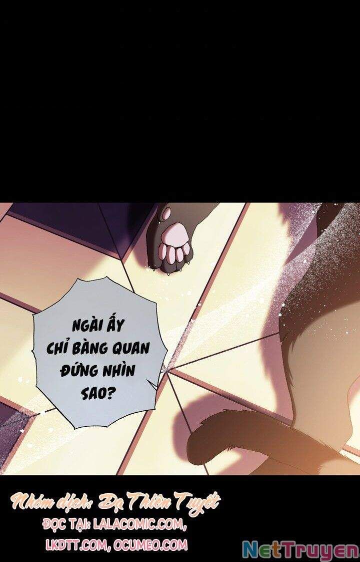 đọc truyện Cha, Con Không Muốn Kết Hôn! Chương 49 ảnh 82 tại Thiên Thai Truyện