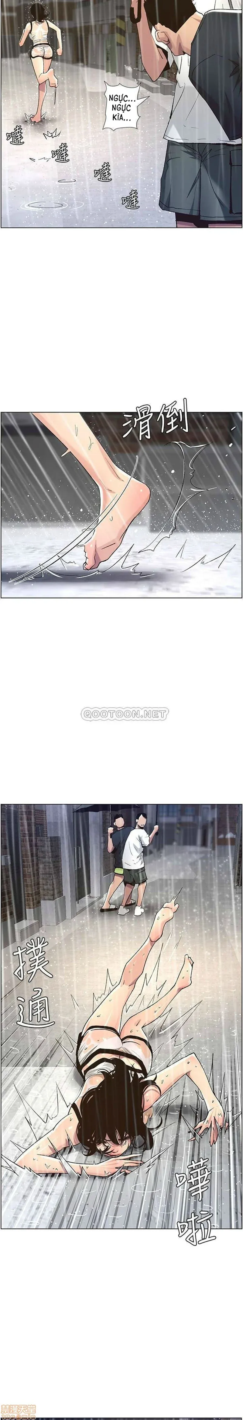 Cha Dượng Chương 59 page 25 - Giả Dược