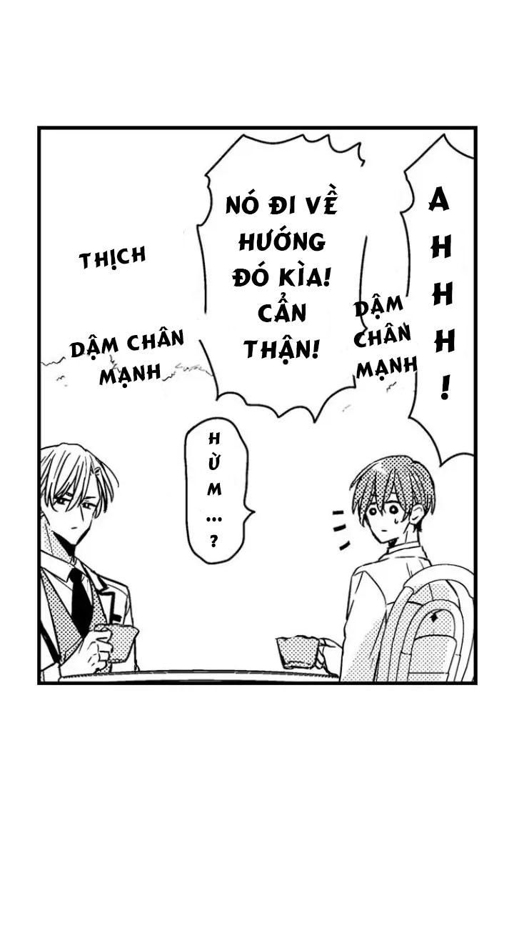 đọc truyện Chàng Hoàng Tử Hoàn Hảo Yêu Tôi, Tình Địch Của Anh Ấy? Chương 2 ảnh 7 tại Thiên Thai Truyện