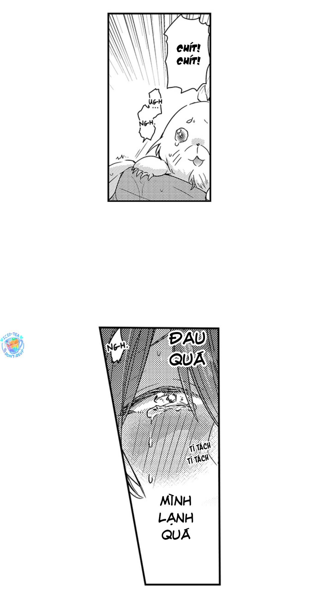 đọc truyện Chàng Hoàng Tử Hoàn Hảo Yêu Tôi, Tình Địch Của Anh Ấy? Chương 41 ảnh 24 tại Thiên Thai Truyện