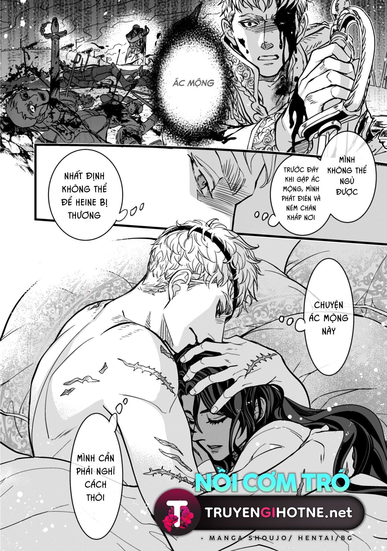 Chàng Kỵ Sĩ Mặt Lạnh Hay Lo Xa Chương 2.2 page 16 - Giả Dược