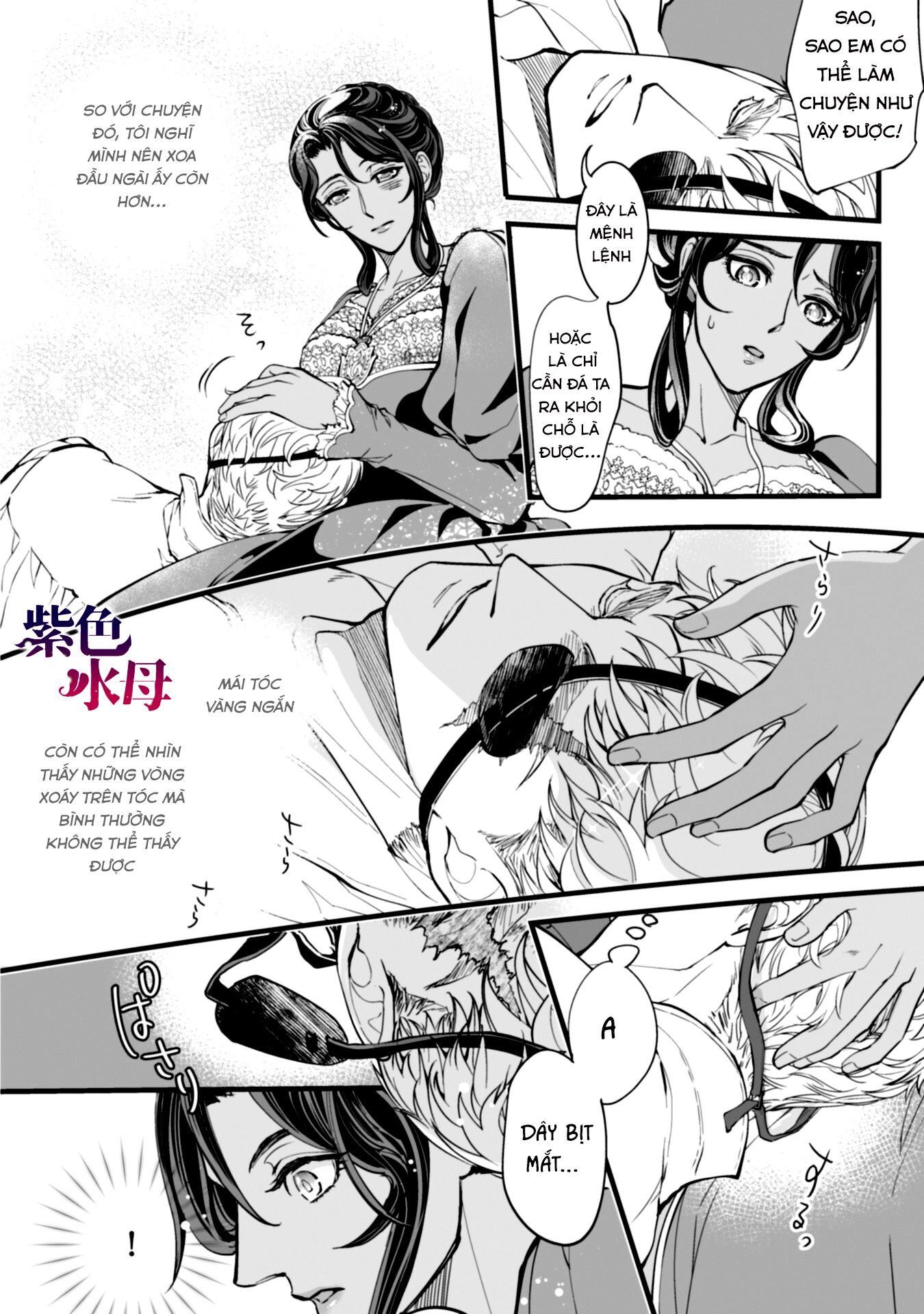 Chàng Kỵ Sĩ Mặt Lạnh Hay Lo Xa Chương 3.2 page 8 - Giả Dược