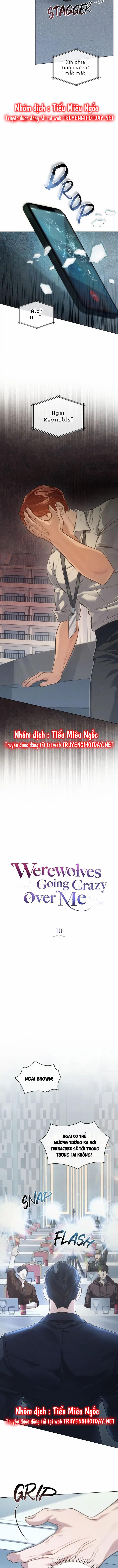 đọc truyện Chàng Người Sói Phát Điên Vì Tôi Chương 10 ảnh 5 tại Giả Dược