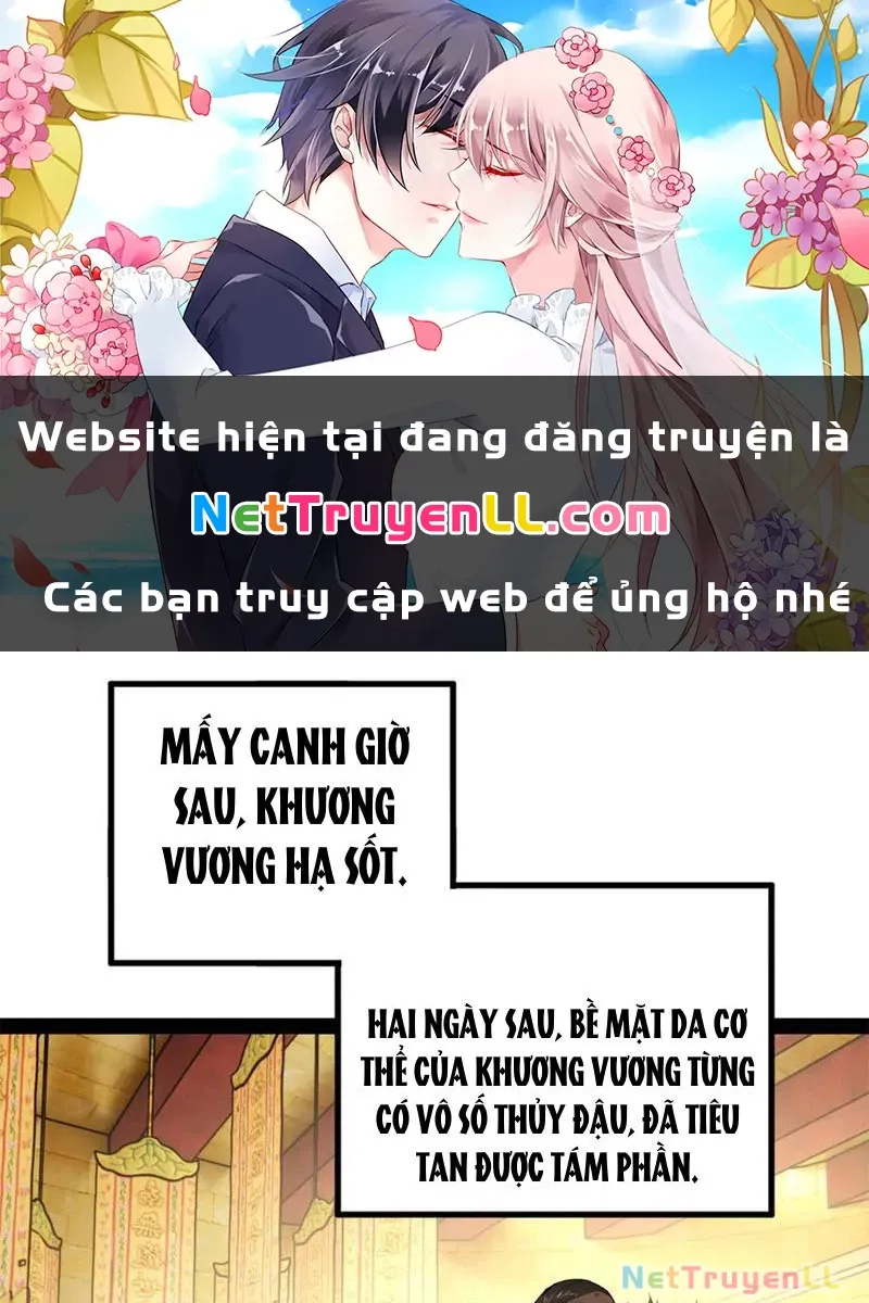 đọc truyện Chàng Rể Mạnh Nhất Lịch Sử Chương 217 ảnh 1 tại Giả Dược