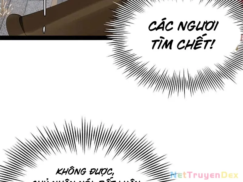 đọc truyện Chàng Rể Mạnh Nhất Lịch Sử Chương 257 ảnh 23 tại Thiên Thai Truyện