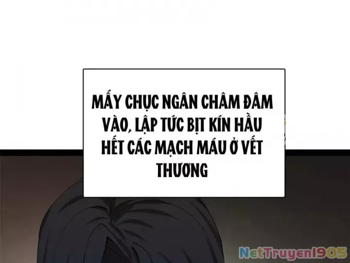 đọc truyện Chàng Rể Mạnh Nhất Lịch Sử Chương 318 ảnh 33 tại Thiên Thai Truyện