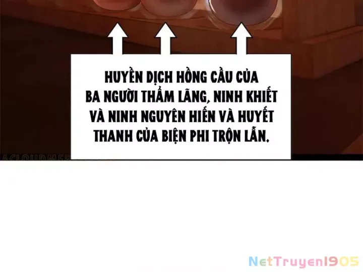 đọc truyện Chàng Rể Mạnh Nhất Lịch Sử Chương 318 ảnh 54 tại Thiên Thai Truyện