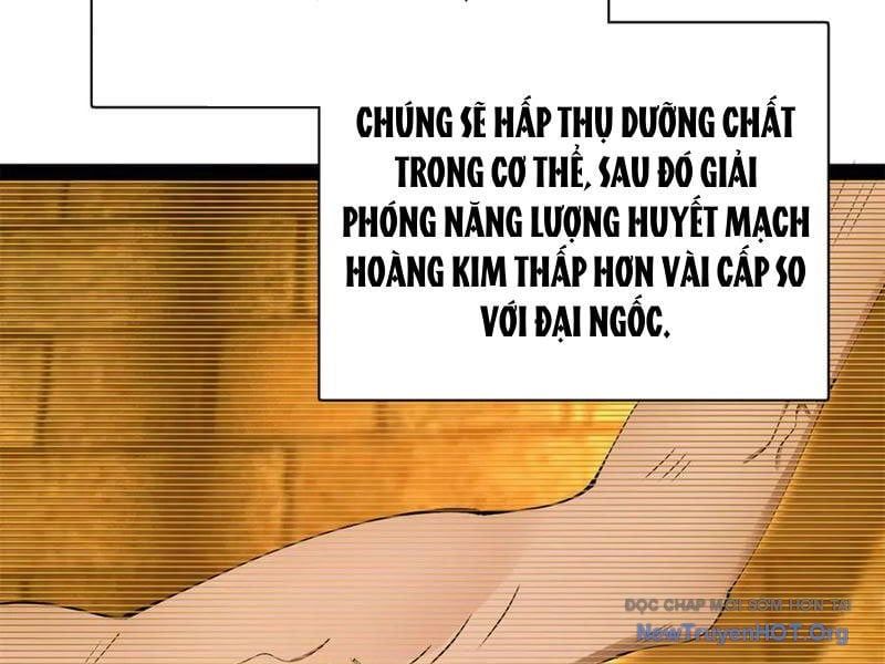 đọc truyện Chàng Rể Mạnh Nhất Lịch Sử Chương 325 ảnh 107 tại Thiên Thai Truyện