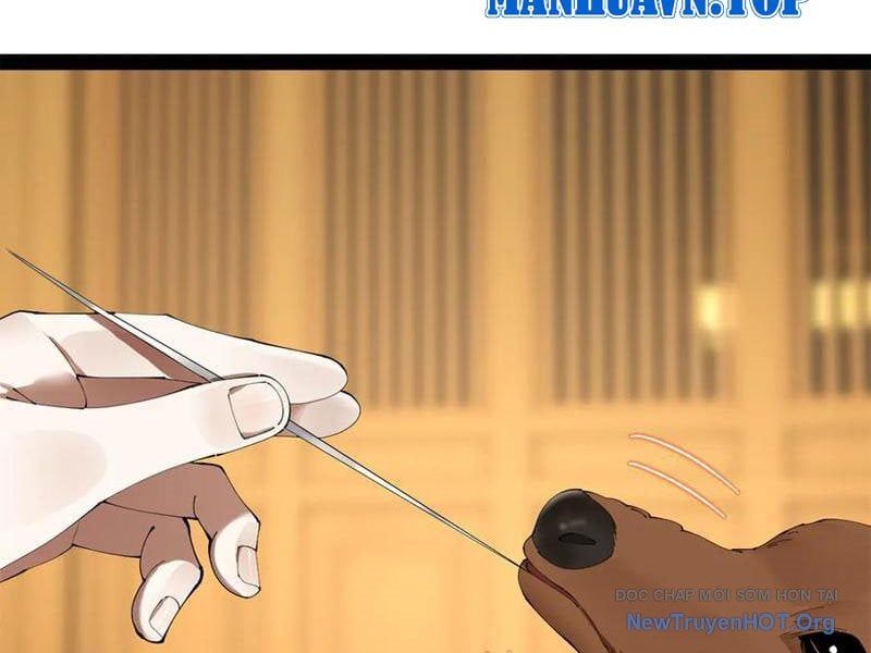 đọc truyện Chàng Rể Mạnh Nhất Lịch Sử Chương 325 ảnh 76 tại Thiên Thai Truyện