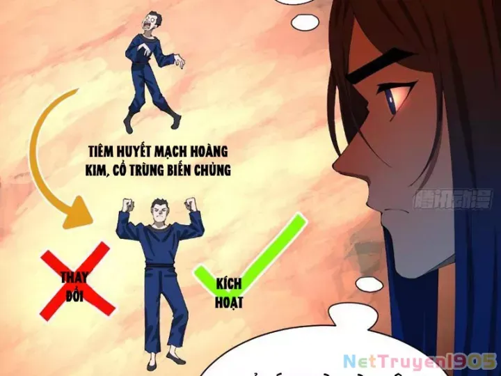 đọc truyện Chàng Rể Mạnh Nhất Lịch Sử Chương 339 ảnh 5 tại Thiên Thai Truyện