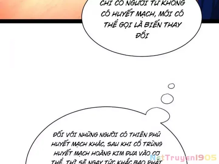 đọc truyện Chàng Rể Mạnh Nhất Lịch Sử Chương 339 ảnh 6 tại Thiên Thai Truyện