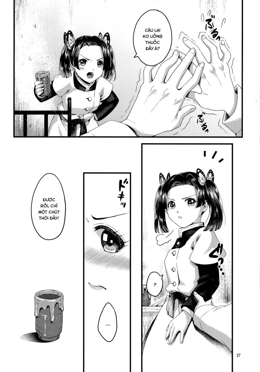 Chào Mừng Đến Trang Viên Hồ Điệp Chương 3 page 12 - Giả Dược