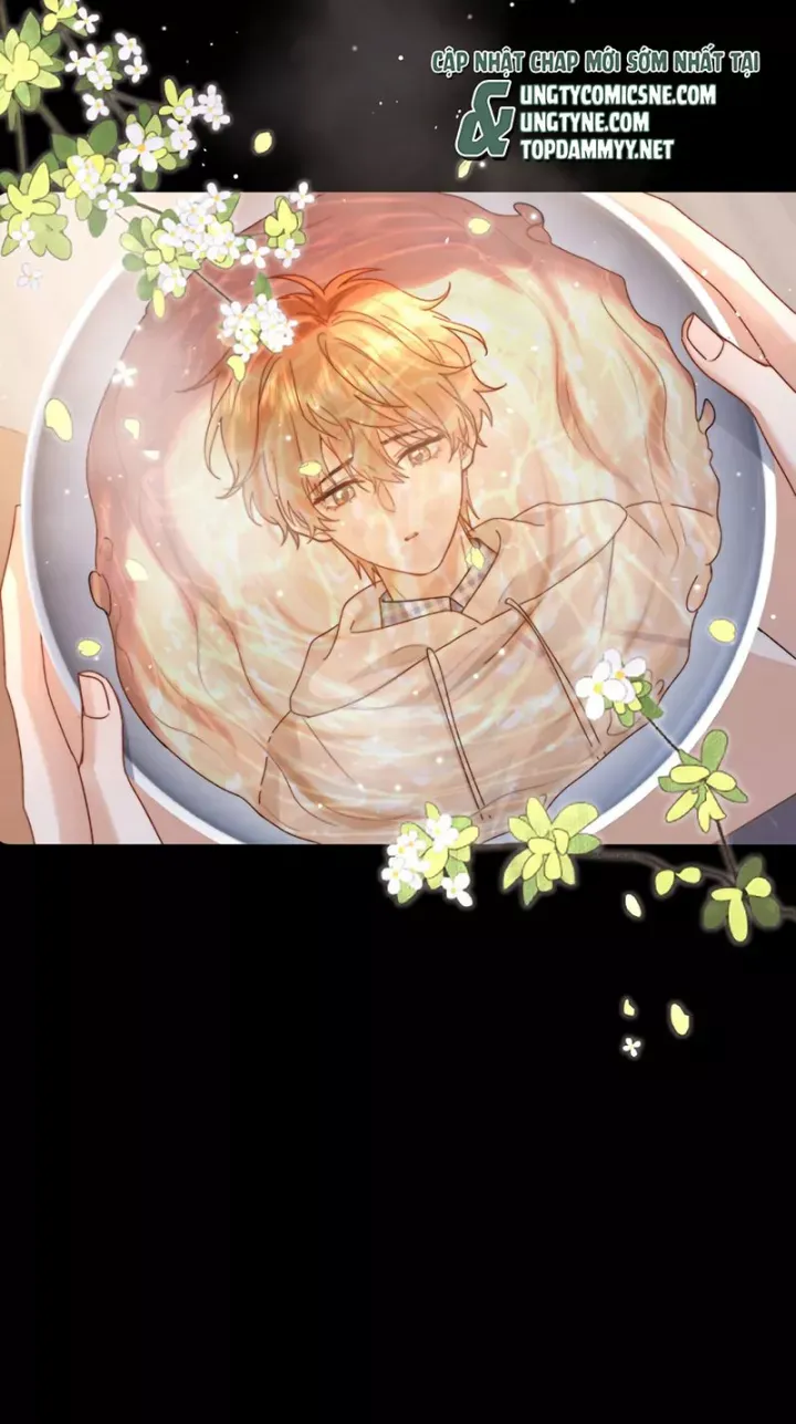 đọc truyện Chất Dị Ứng Đáng Yêu Chương 125 ảnh 16 tại Thiên Thai Truyện