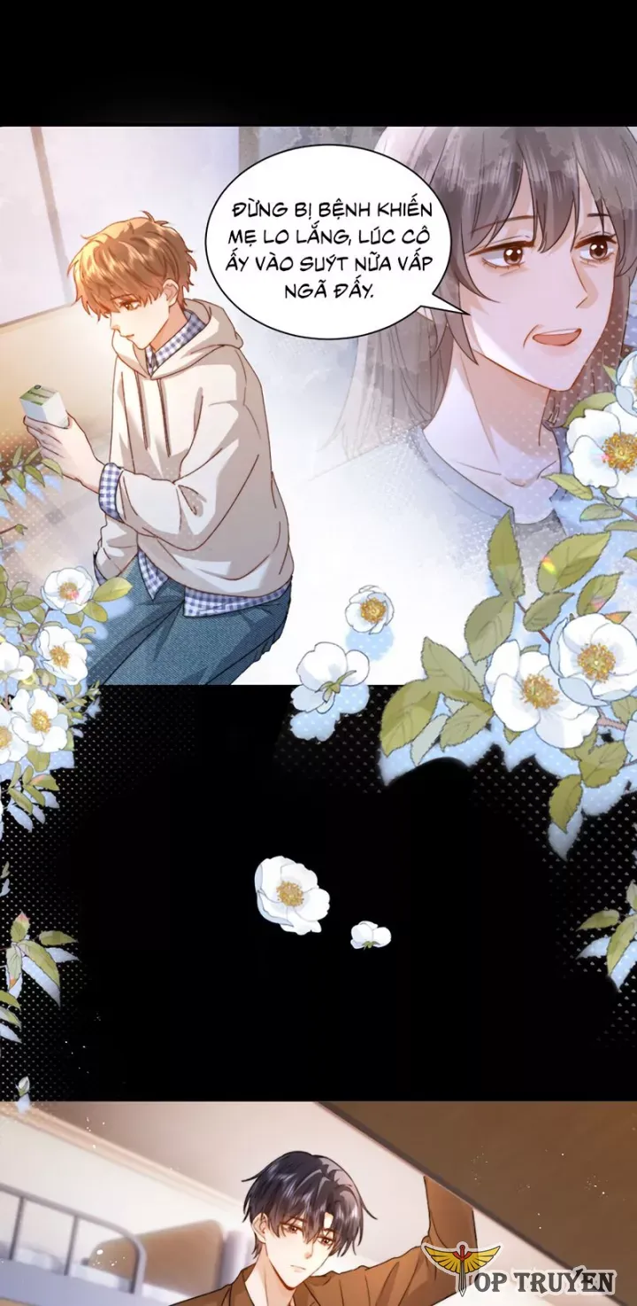 đọc truyện Chất Dị Ứng Đáng Yêu Chương 125 ảnh 6 tại Thiên Thai Truyện