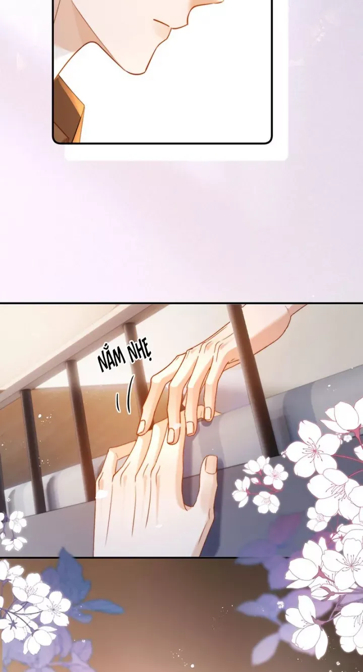 đọc truyện Chất Dị Ứng Đáng Yêu Chương 125 ảnh 8 tại Thiên Thai Truyện