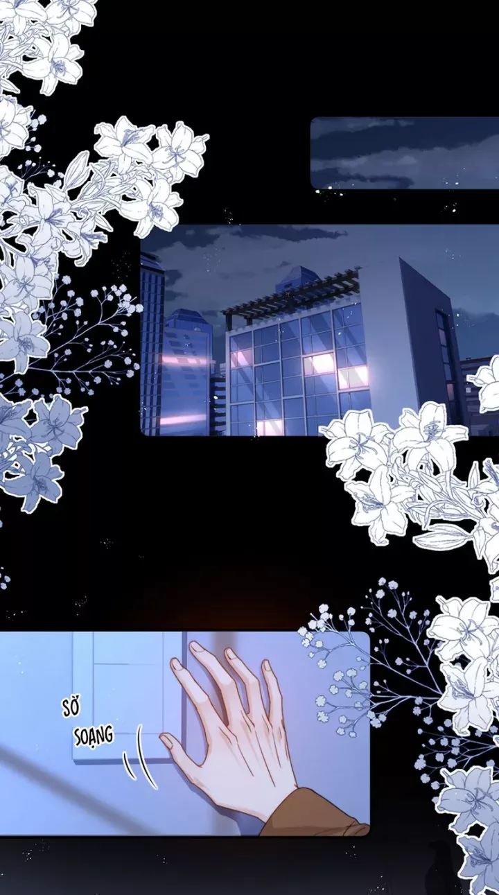 đọc truyện Chất Dị Ứng Đáng Yêu Chương 125 ảnh 10 tại Thiên Thai Truyện