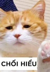 đọc truyện Chỉ Cần Đó Là Điều Ngài Muốn, Tôi Sẽ Làm Truyện Dạ Ký