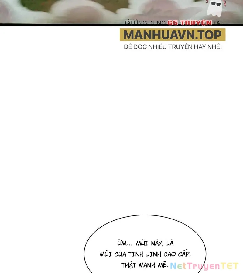 đọc truyện Chỉ Có Ta Có Thể Sử Dụng Triệu Hoán Thuật Chương 152 ảnh 61 tại Thiên Thai Truyện