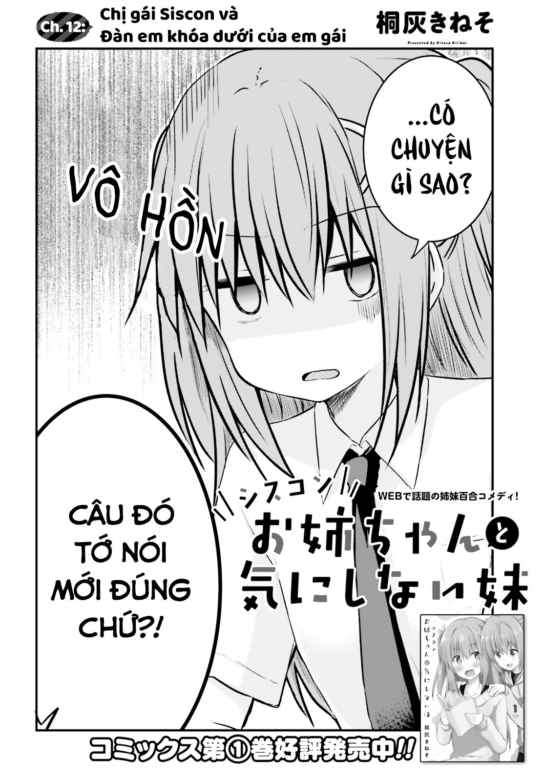 đọc truyện Chị Gái Siscon Và Cô Em Gái Không Bận Tâm Về Điều Đó  Chương 12 ảnh 4 tại Thiên Thai Truyện