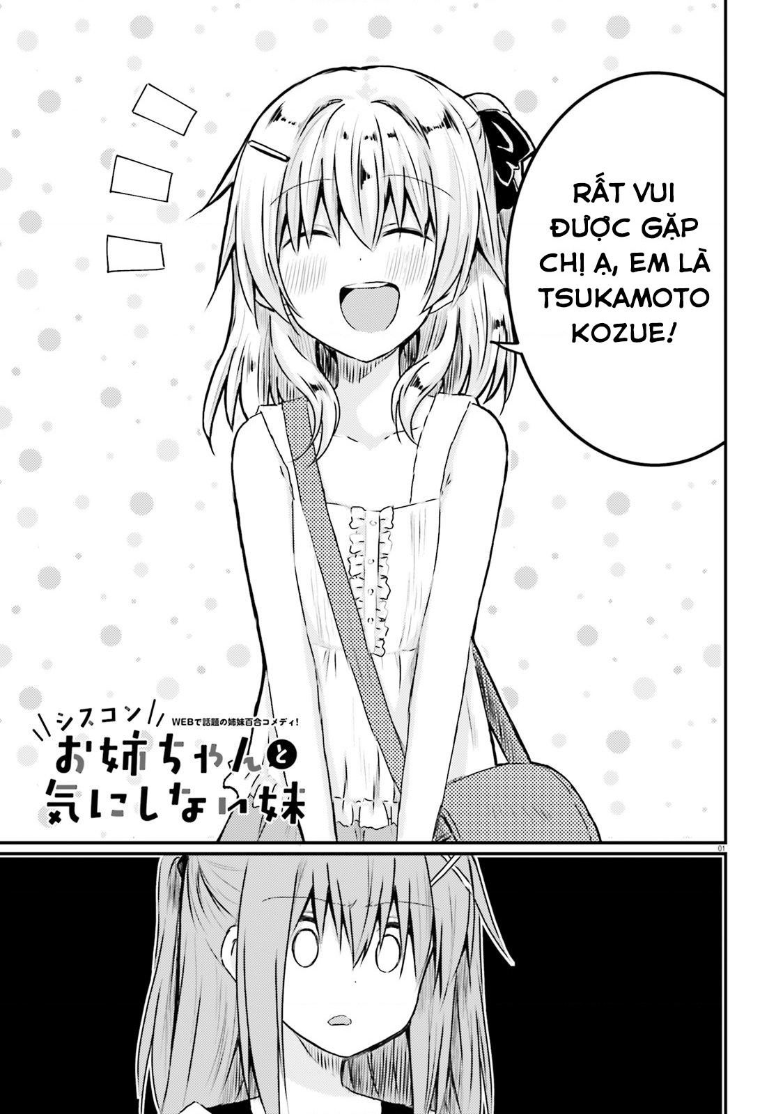 đọc truyện Chị Gái Siscon Và Cô Em Gái Không Bận Tâm Về Điều Đó  Chương 14 ảnh 3 tại Thiên Thai Truyện