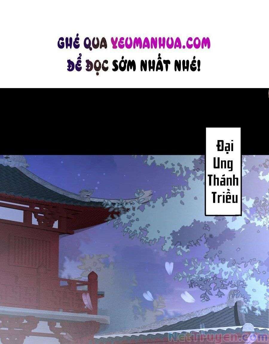 đọc truyện Chi Tôn Đồng Thuật Sư: Tuyệt Thế Đại Tiểu Thư Chương 250 ảnh 2 tại Thiên Thai Truyện