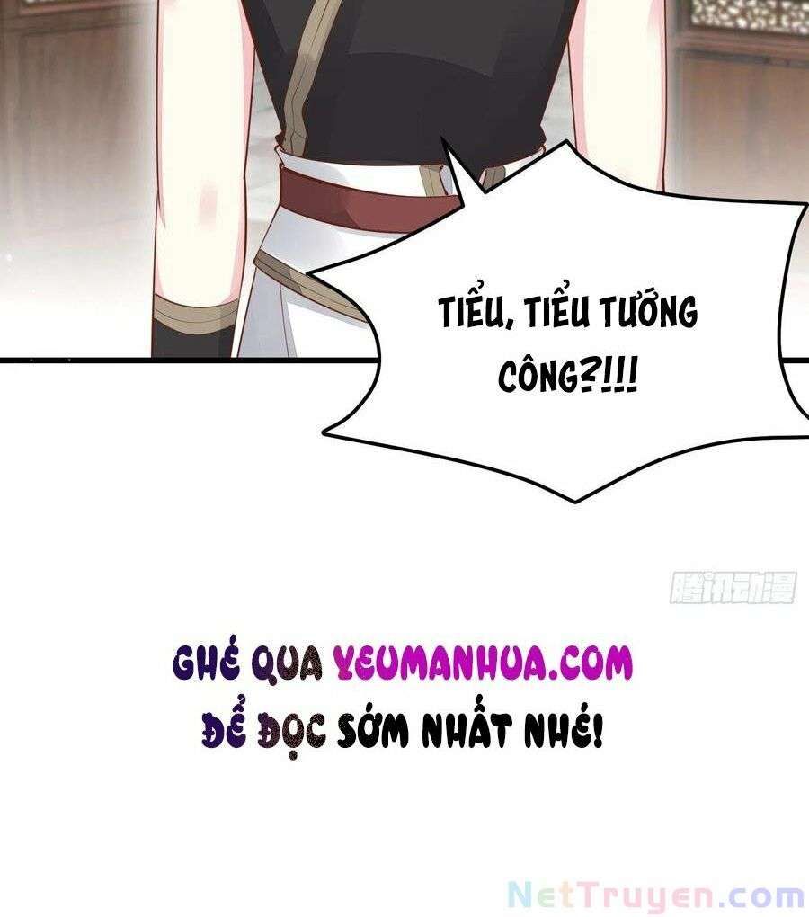 đọc truyện Chi Tôn Đồng Thuật Sư: Tuyệt Thế Đại Tiểu Thư Chương 251 ảnh 41 tại Thiên Thai Truyện