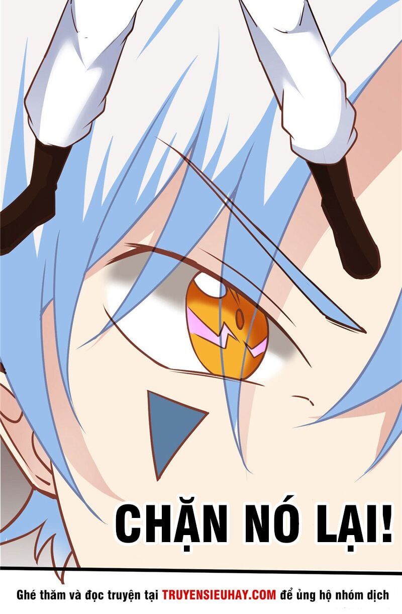 đọc truyện Chí Tôn Võ Đế Chương 213 ảnh 8 tại Thiên Thai Truyện