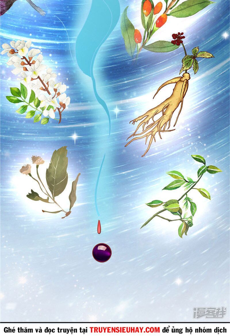 đọc truyện Chí Tôn Võ Đế Chương 217 ảnh 4 tại Thiên Thai Truyện