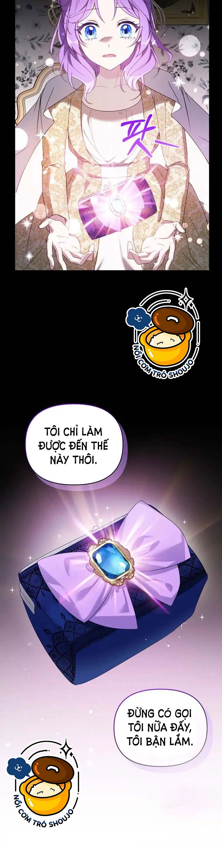 đọc truyện Chiếc Túi Bí Mật Của Tiểu Thư Xấu Xí Chương 2.1 ảnh 12 tại Giả Dược
