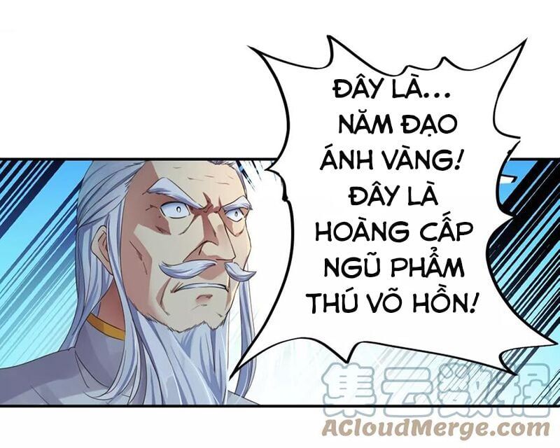 đọc truyện Chiến Hồn Tuyệt Thế Chương 1 ảnh 10 tại Giả Dược