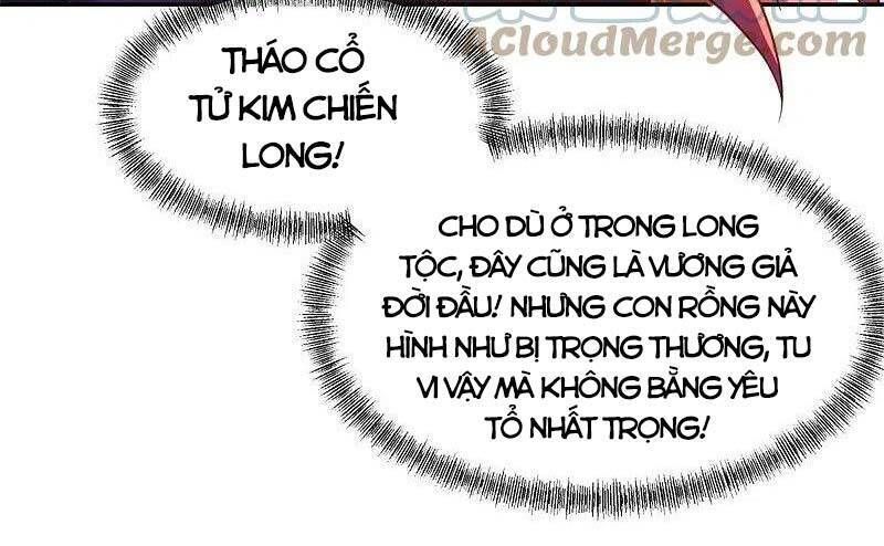 đọc truyện Chiến Hồn Tuyệt Thế Chương 387 ảnh 47 tại Thiên Thai Truyện