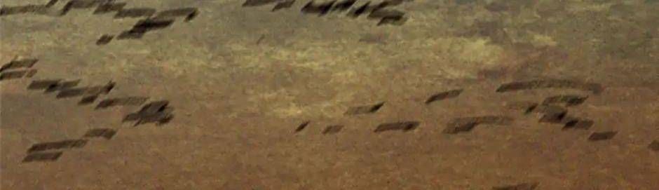 đọc truyện Chiền Thần Tự Sát Hồi Quy Chương 103 ảnh 80 tại Thiên Thai Truyện