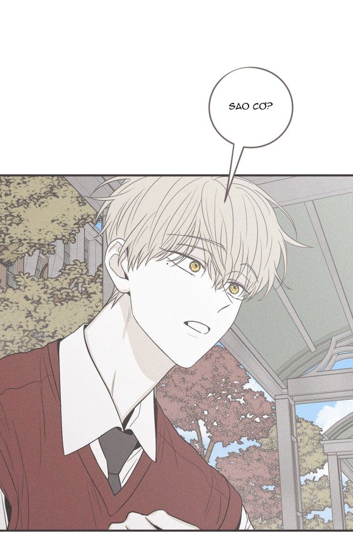 đọc truyện Chiếu Tướng Chương 111 ảnh 10 tại Thiên Thai Truyện