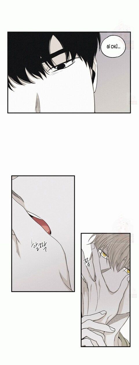 đọc truyện Chiếu Tướng Chương 12 ảnh 26 tại Thiên Thai Truyện