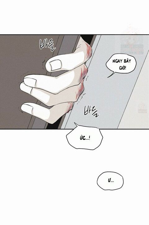 đọc truyện Chiếu Tướng Chương 12 ảnh 44 tại Thiên Thai Truyện