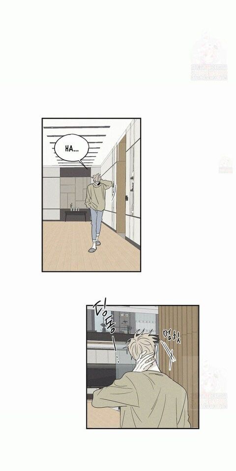 đọc truyện Chiếu Tướng Chương 12 ảnh 9 tại Thiên Thai Truyện