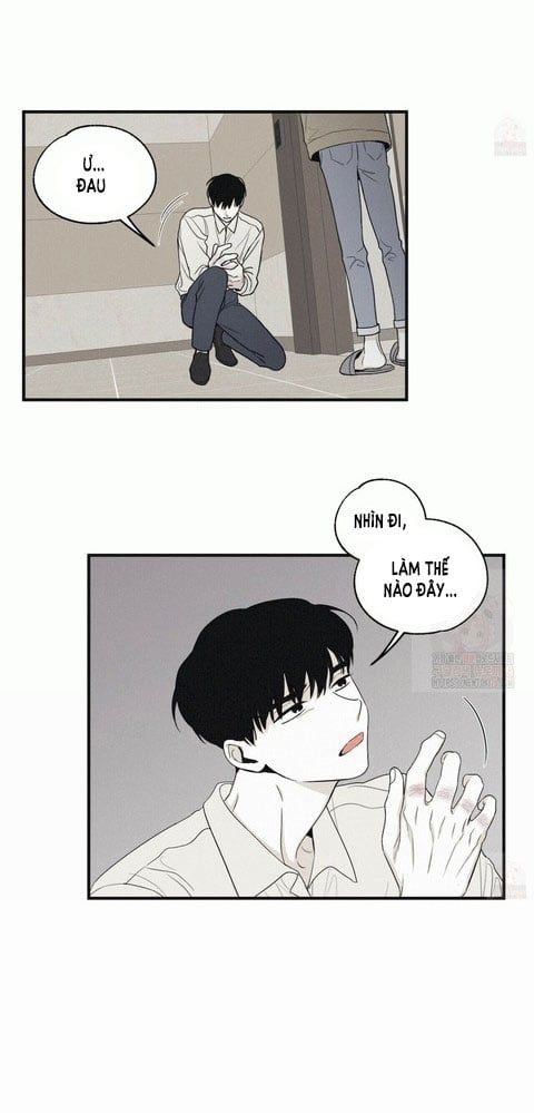 đọc truyện Chiếu Tướng Chương 13 ảnh 12 tại Thiên Thai Truyện