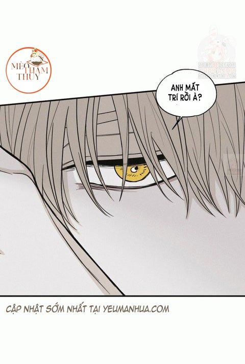 đọc truyện Chiếu Tướng Chương 13 ảnh 19 tại Thiên Thai Truyện