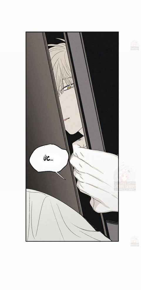 đọc truyện Chiếu Tướng Chương 13 ảnh 4 tại Thiên Thai Truyện