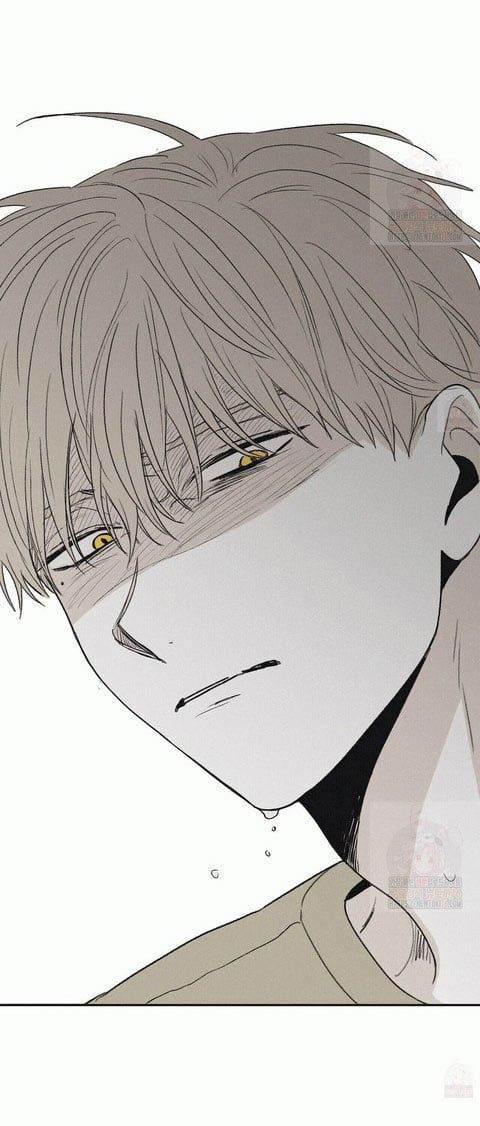 đọc truyện Chiếu Tướng Chương 13 ảnh 7 tại Thiên Thai Truyện