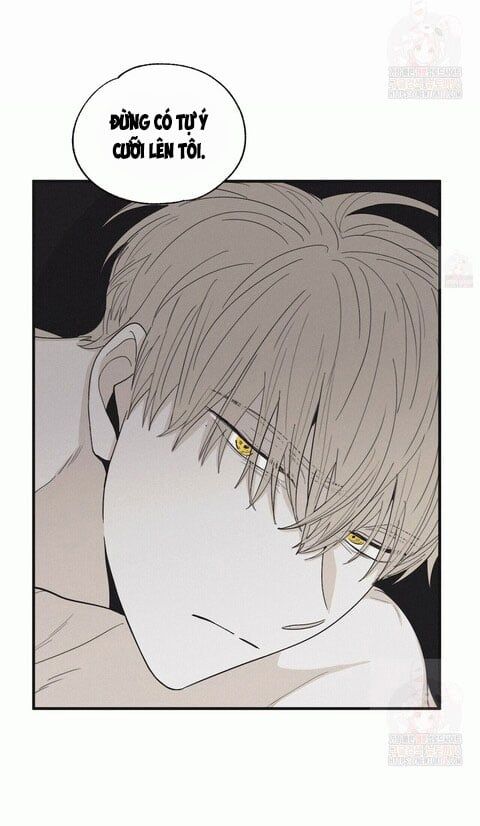 đọc truyện Chiếu Tướng Chương 14 ảnh 19 tại Thiên Thai Truyện