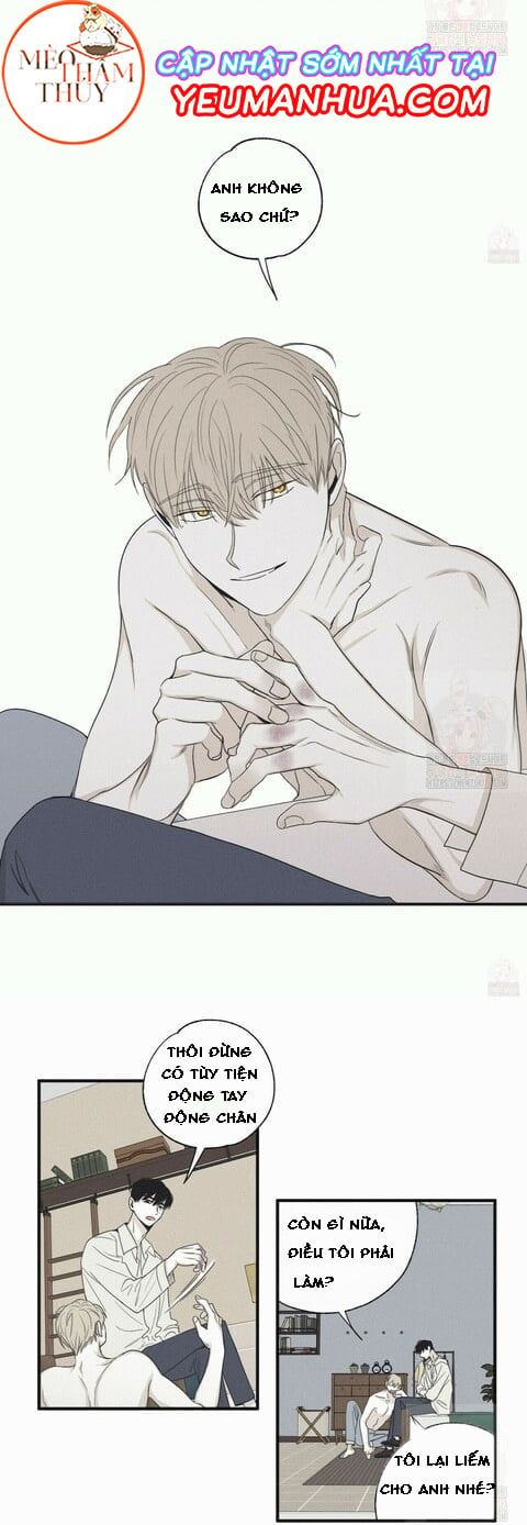 đọc truyện Chiếu Tướng Chương 16 ảnh 12 tại Thiên Thai Truyện