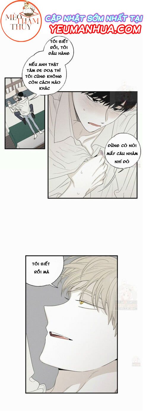 đọc truyện Chiếu Tướng Chương 16 ảnh 23 tại Thiên Thai Truyện