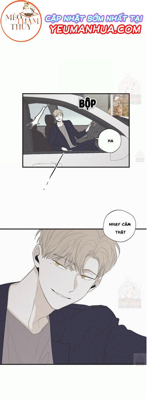 đọc truyện Chiếu Tướng Chương 17 ảnh 18 tại Thiên Thai Truyện