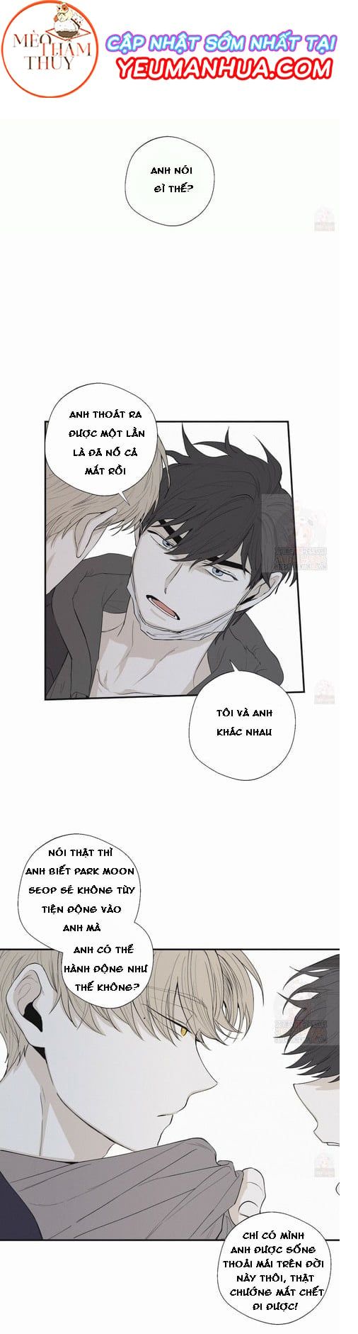 đọc truyện Chiếu Tướng Chương 18 ảnh 5 tại Thiên Thai Truyện