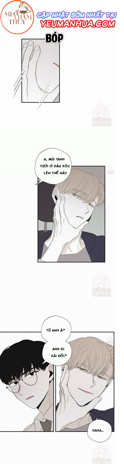 đọc truyện Chiếu Tướng Chương 19 ảnh 3 tại Thiên Thai Truyện