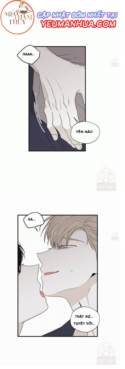 đọc truyện Chiếu Tướng Chương 19 ảnh 13 tại Thiên Thai Truyện